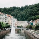 buildings near body of water and green treees